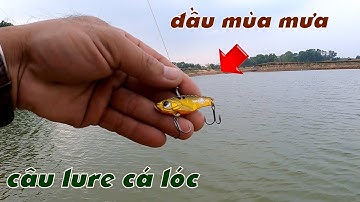 Câu Lure Cá Lóc ✅ Lure Cá Lóc Đầu Mùa Mưa Bằng Cá Sắt | Tâm Râu Vlog #233