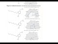 Next-Generation Selective Neurotrophic Candidate Achieves Ideal In Silico Safety Profile