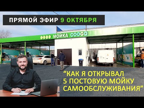 Видео: Функция самообслуживания у кошек