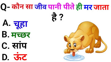 Most Brilliant Answers of UPSC, IPS, IAS Interview Questions | Your questions, our answers | GK p...