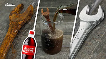 ¿Los conejos pueden beber Coca-Cola?