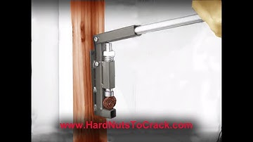 Long Lever Nutcracker ~ Best Cracker for BLACK WALNUTS - MACADAMIA NUTS  Table or Wall Mounted.