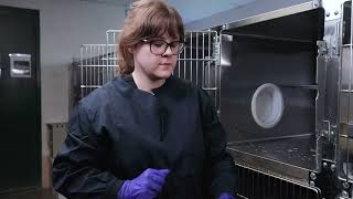 Shelter Medicine: ASPCA Deep Cleaning a Cat Kennel