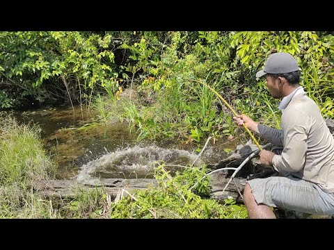 Video: Tempat Kirov Yang Tidak Normal - Pandangan Alternatif