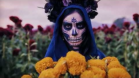 MICHAEL BUBLÉ ~ Feeling Good ! (AIMV) 