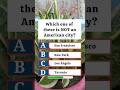 Which one of these is NOT an American city?🤔 #quiz #trivia #shorts #quizshorts #gkquiz #usa #gk