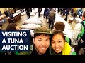 Frozen tuna being auctioned at Tsukiji