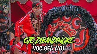 OJO DI BANDINGKE VERSI JARANAN VOC.GEA AYU || WAHYU ANOM SAPUTRO