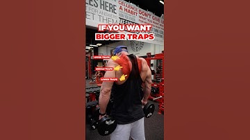 Trap workout for your upper, middle & lower traps!