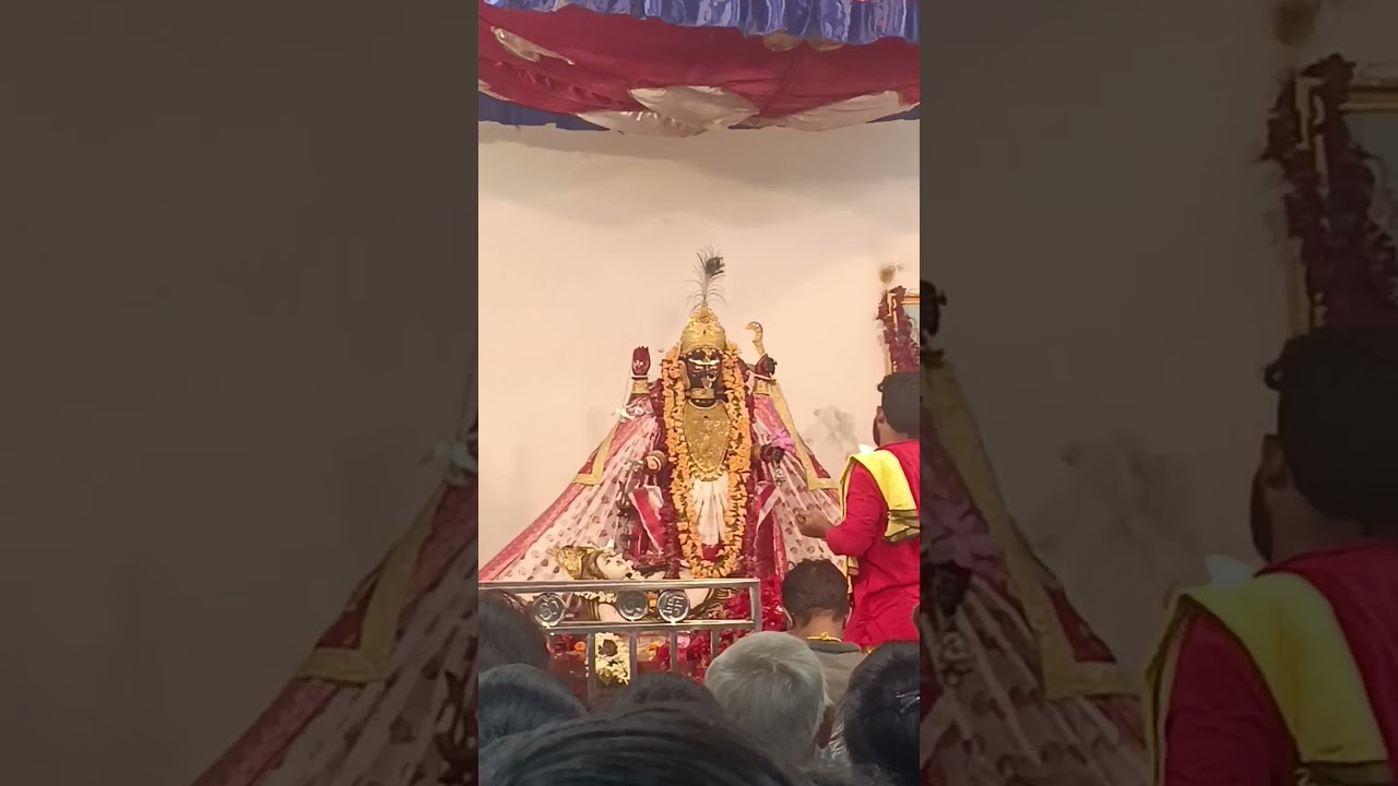 নৈহাটি বড় মা এর আজকের সন্ধ্যা আরতি দর্শন🙏||JOY BORO MAA🌺|