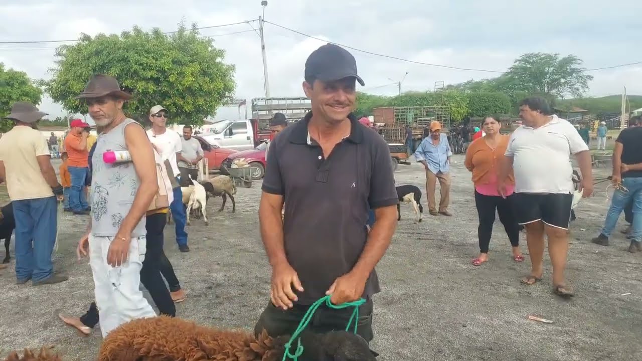 02/03/2026 FEIRA DE CAPRINOS E OUVINOS EM CUSTÓDIA PERNAMBUCO 