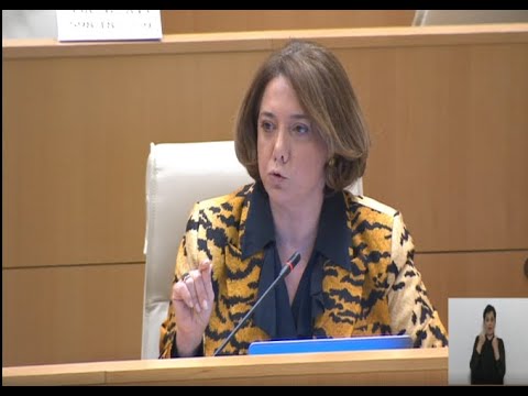 თქვენ  ქვეყანას ღირსება უკვე ახადეთ! მზად ხართ თუ არა, საკუთარ თავსაც წაართვათ ღირსება?!-სამადაშვილი