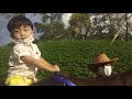 Naik kuda di Cimory Dairyland - Puncak