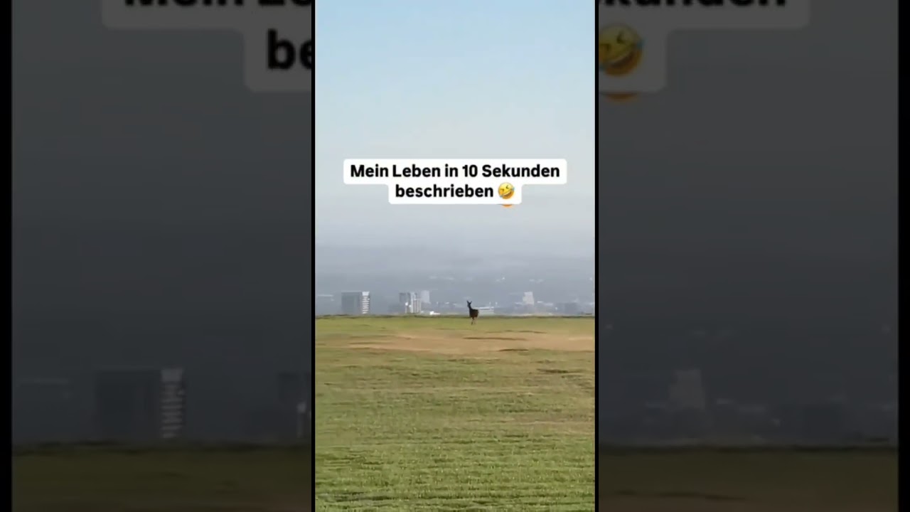 So in etwa 🤣🤣 #leben #reality #tiere #humor #fun #spaß #fypage #fyp #viral #viralshorts #deutschland