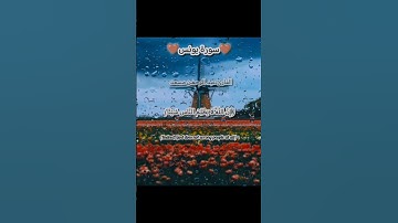 سورة يونس|القارئ عبد الرحمن مسعد |الآيات 43و44 |في قناتي تجد الراحة🫂🍯
