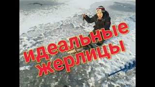 КАК СДЕЛАТЬ ЖЕРЛИЦУ