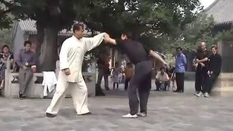 Zhong Zhenshan 钟振山  Wu Yuxiang style 武氏太极拳