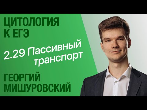 2.29. Пассивный транспорт через мембраны | Цитология к ЕГЭ | Георгий Мишуровский