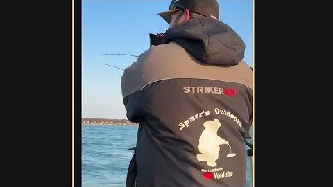 SALMON TROLLING MUD LINE LAKE HURON🎣🔥 CATCH AND CLEAN #fishing #salmon  #cohosalmon #catchingfish