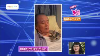 'Roku-chan' from the Nishihara family