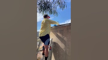 Introducing Farmbot lite