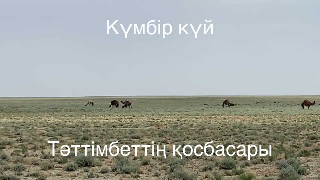 Тәттімбеттің күйі Қосбасар, орындаған Айтжан Тоқтаған