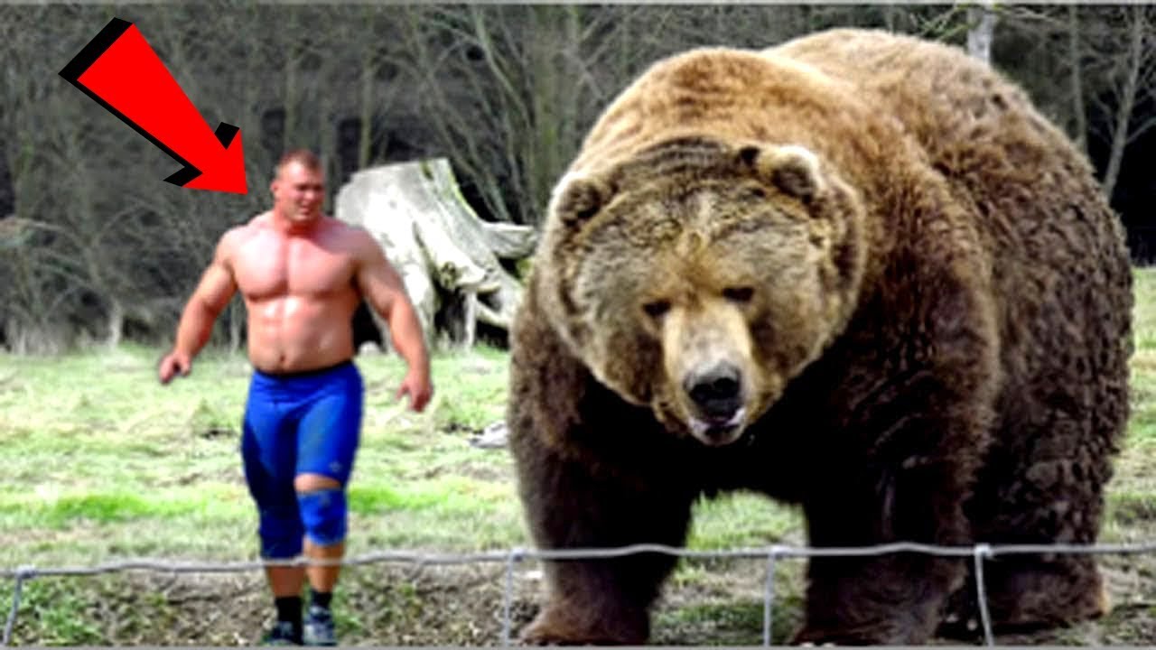 5 Animali Domestici Che Fanno Impressione YouTube