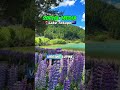 This Travel Lake Looks Like a Fairytale✈️ #travel #explore #trip #vacation #nature #shorts