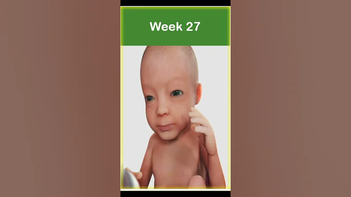 1-40 Weeks Baby Developments - DayDayNews