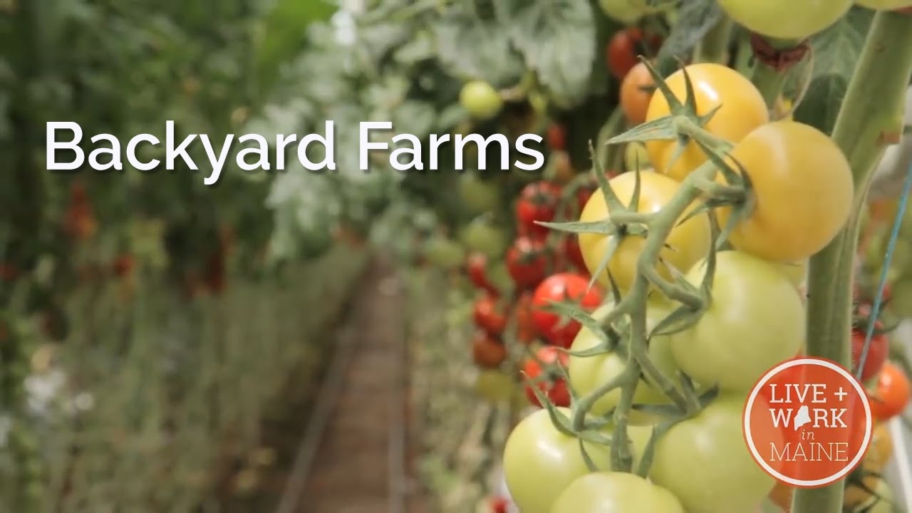 Maine Business Backyard Farms S2 Episode 6 Youtube