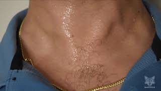 The Stress Of Good Cheer - Hulk Tf Teaser