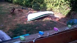 VID-20120814-00002