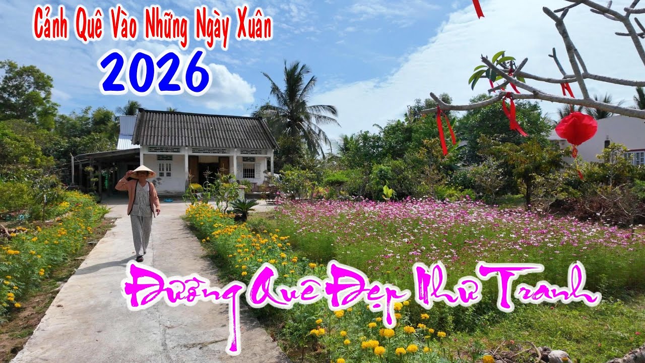 Bất Ngờ Những Ngày Giáp Tết Trên Đường  Làng Quê Ở Kinh Hội Cà Mau Đón Tết 2026 Như Thế Nào ?