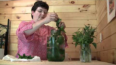 Herbal tea