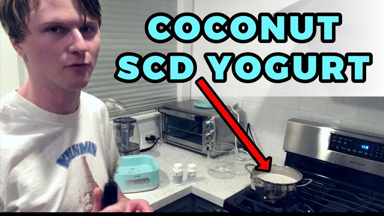How to Make SCD Coconut Milk Yogurt YouTube