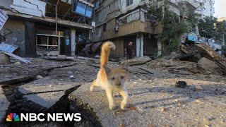 Matt Bradley reports on fatal Israeli strikes in central Beirut