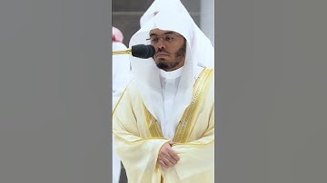 سورة التكاثر الشيخ ياسر الدوسري