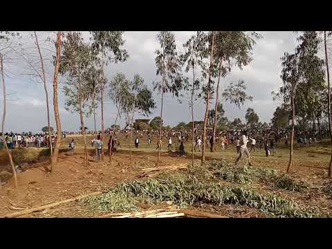 Lola Ulee Dhiiboo Aanaa Jalduu Shukuteetti