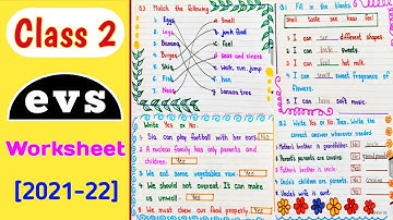 Class 2 EVS । Class 2 EVS Worksheet । class 2 Worksheet । EVS Worksheet for class 2 । Class 2 ।