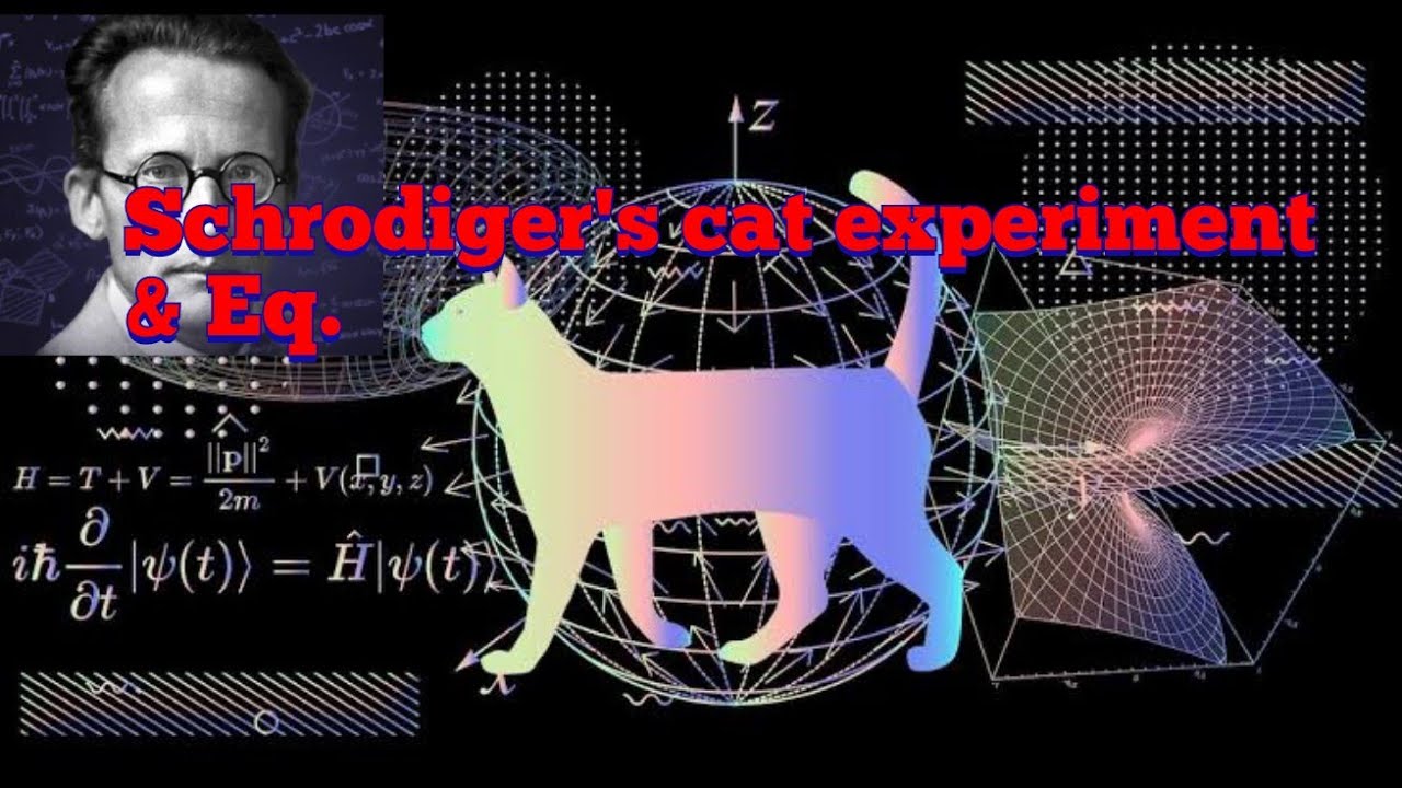 Schrödinger's cat experiment in hindi (Quantum Physics & Many world ...