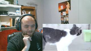ANNOYING CAT PRANK ON GRANDMA! REACTION