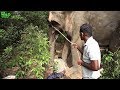 Brave humans saving a giant elephant from a wire trap