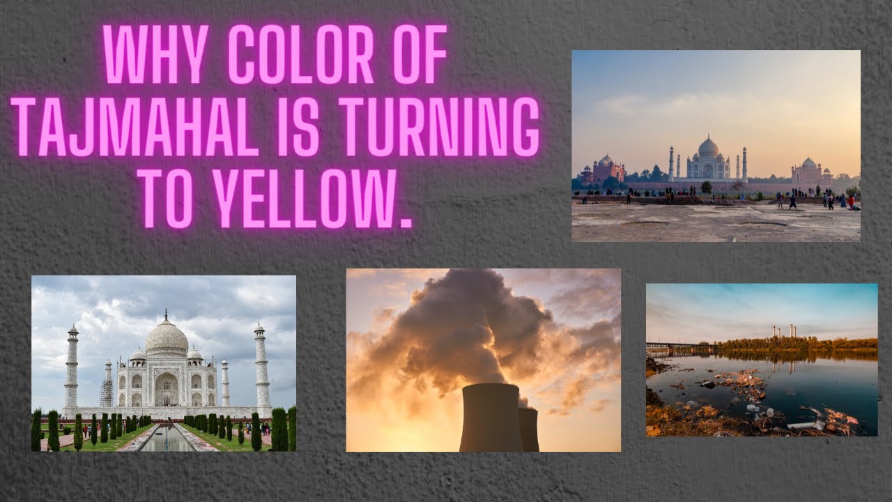 Why the colour of taj mahal turning to yellow? marble cancer by