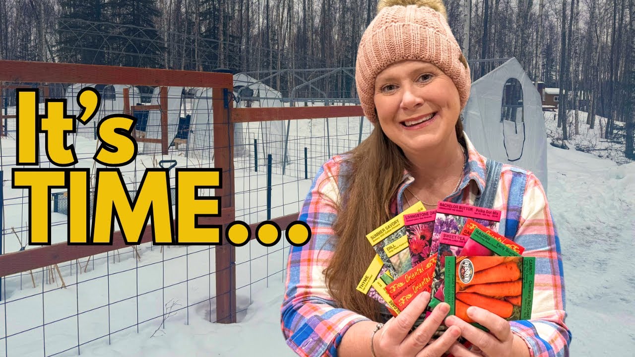 Alaska Homestead Still Frozen! Starting Our Sustainable Garden Anyway