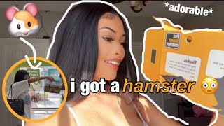 i got a hamster… spontaneously 😳 |decorating detolf cage, supplies haul, and more!| by nyomi 21,200 views 1 year ago 17 minutes