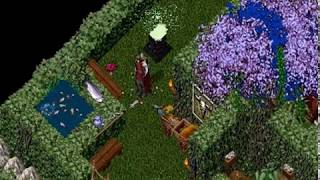 Ultima Online The Archaeologists Log. Day Six.
