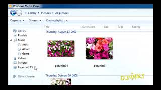 Windows 7 for Dummies - Organizing Your Library