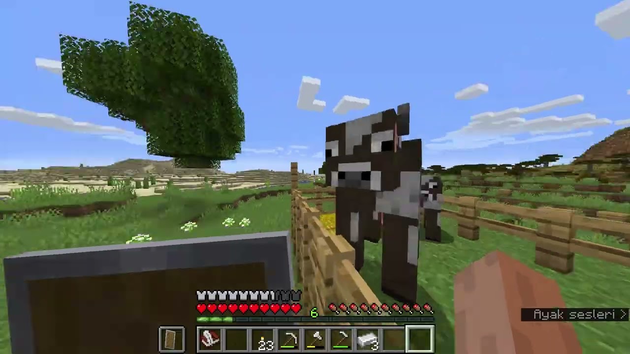 MİNECRAFT BÖLÜM 3