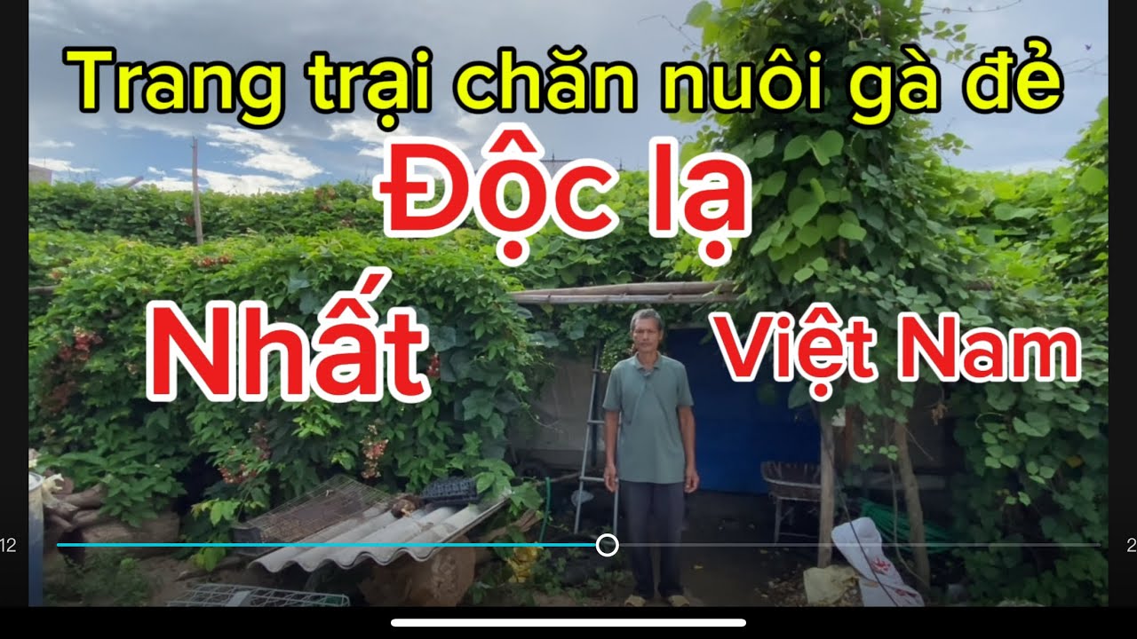 Thăm mô hình trang trại chăn nuôi gà đẻ gà thịt.Độc lạ nhất việt Nam!