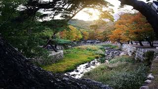 1 Hour Meditation Music with Beautiful picture #394 | Relaxing Meditation